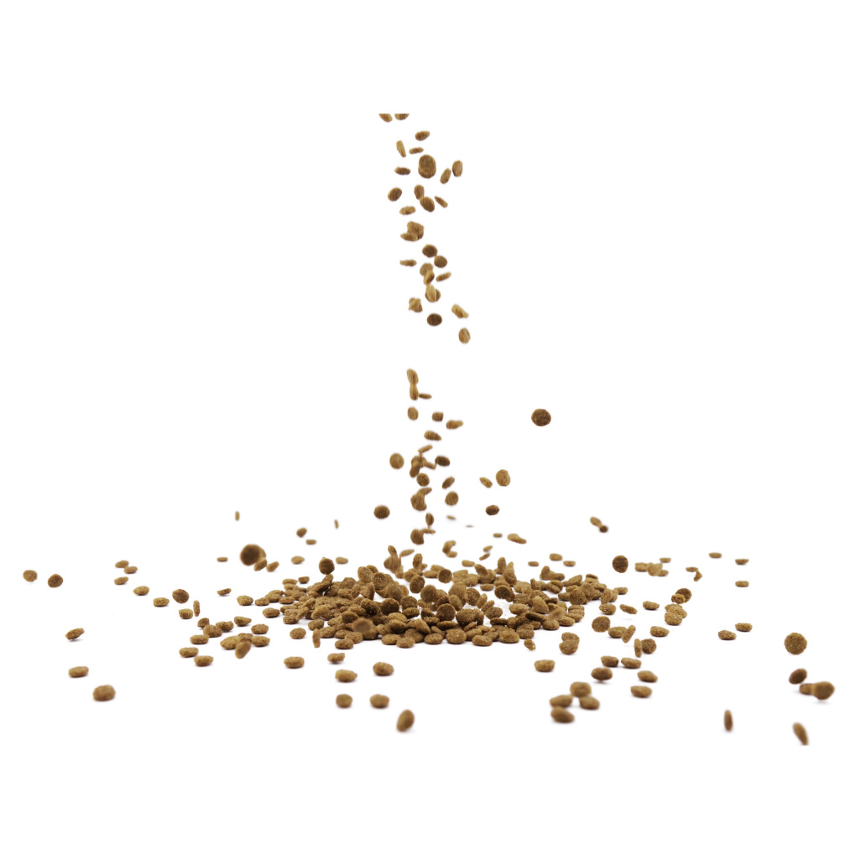 Streufutter für Enten und Schwäne 350 g | CJ Wildlife